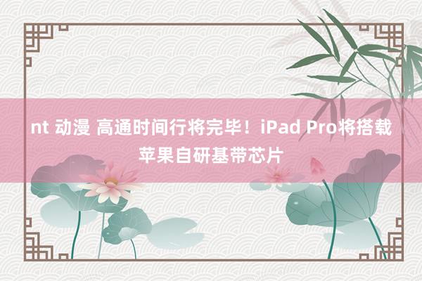nt 动漫 高通时间行将完毕！iPad Pro将搭载苹果自研基带芯片