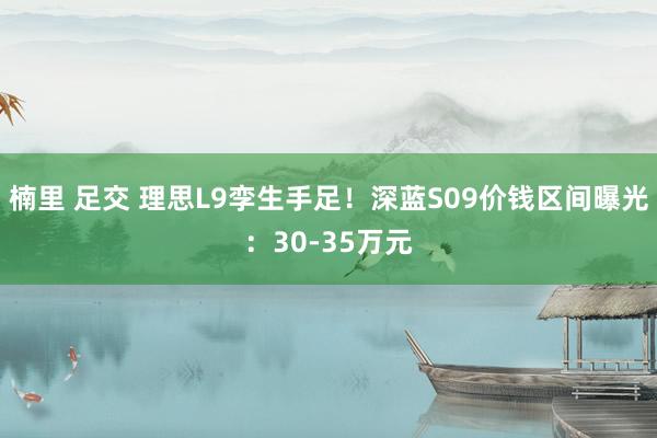 楠里 足交 理思L9孪生手足！深蓝S09价钱区间曝光：30-35万元