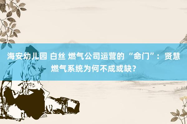 海安幼儿园 白丝 燃气公司运营的 “命门”：贤慧燃气系统为何不成或缺？