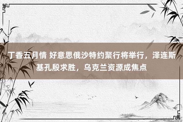 丁香五月情 好意思俄沙特约聚行将举行，泽连斯基孔殷求胜，乌克兰资源成焦点