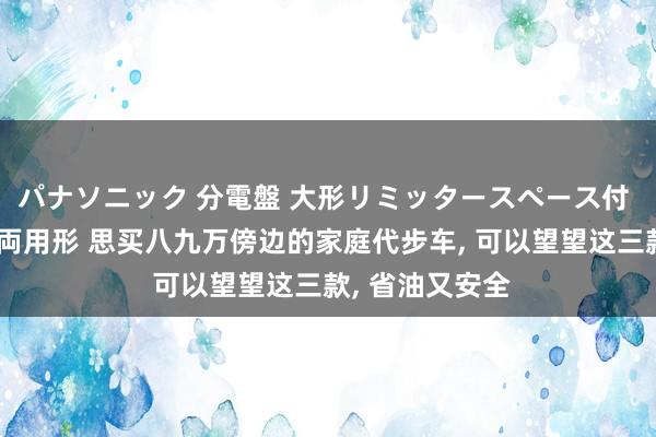 パナソニック 分電盤 大形リミッタースペース付 露出・半埋込両用形 思买八九万傍边的家庭代步车， 可以望望这三款， 省油又安全