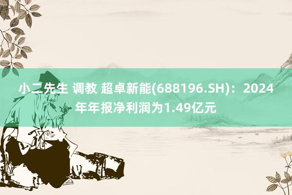 小二先生 调教 超卓新能(688196.SH)：2024年年报净利润为1.49亿元
