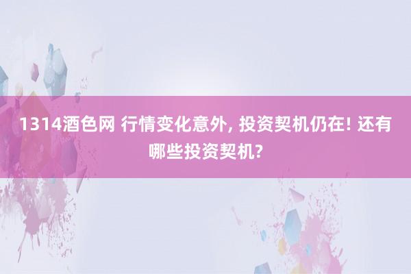 1314酒色网 行情变化意外， 投资契机仍在! 还有哪些投资契机?