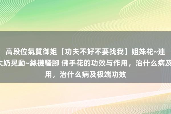 高段位氣質御姐【功夫不好不要找我】姐妹花~連體絲襪~大奶晃動~絲襪騷腳 佛手花的功效与作用，治什么病及极端功效