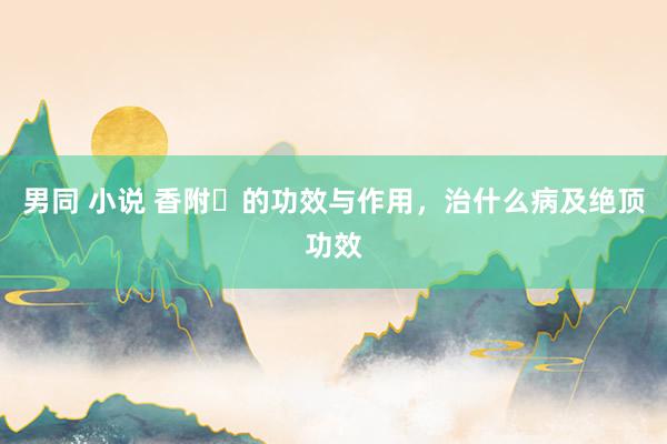 男同 小说 香附​的功效与作用，治什么病及绝顶功效