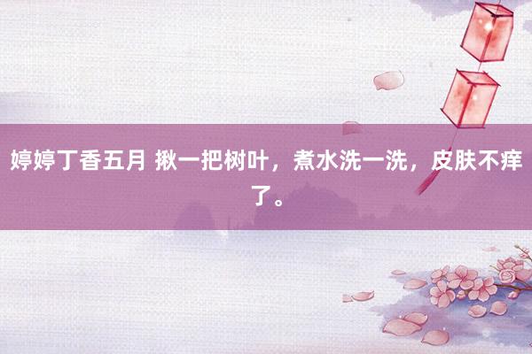 婷婷丁香五月 揪一把树叶，煮水洗一洗，皮肤不痒了。