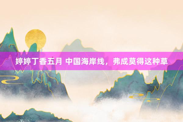 婷婷丁香五月 中国海岸线，弗成莫得这种草